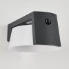 Lampe solaires Lafite LED Anthracite, 1 lumière, Détecteur de mouvement