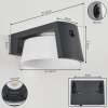 Lampe solaires Lafite LED Anthracite, 1 lumière, Détecteur de mouvement