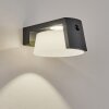 Lampe solaires Lafite LED Anthracite, 1 lumière, Détecteur de mouvement