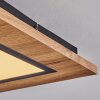 Plafonnier Salmi LED Couleur bois, Noir, 1 lumière