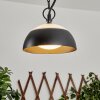 Suspension extérieur Ancemont LED Noir, 1 lumière