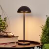 Lampe à poser Pelaro LED Noir, 1 lumière