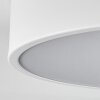 Plafonnier Maho LED Blanc, 1 lumière
