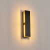 Applique murale d'extérieur Berna LED Couleur bois, 1 lumière