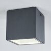 plafonnier extérieur Spidern LED Anthracite, Blanc, 1 lumière