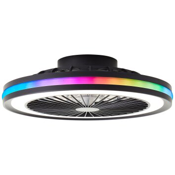 Ventilateur de plafond Brilliant Palmero Noir, 1 lumière, Télécommandes, Changeur de couleurs