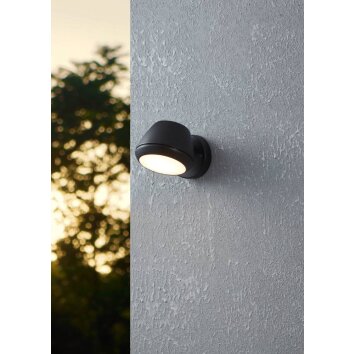 Applique murale d'extérieur Eglo NIVAROLO LED Noir, 1 lumière