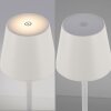 Lampe de table Leuchten-Direkt EURIA LED Blanc, 1 lumière