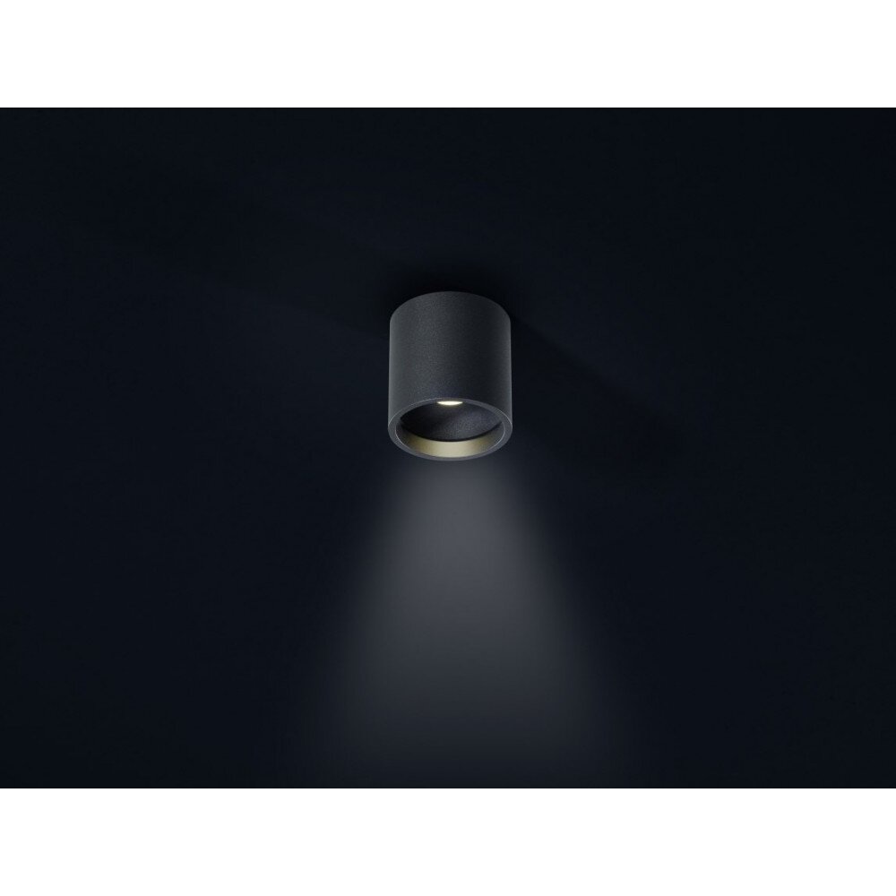 Plafonnier Helestra DORA 1 LED Noir, 1 lumière main product photo