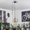 Suspension Verre 20 cm Koyoto Acier inoxydable, Noir, 1 lumière
