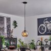 Suspension Verre 20 cm Koyoto Acier inoxydable, Noir, 1 lumière