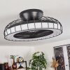 Ventilateur de plafond Burmeister LED Noir, 1 lumière, Télécommandes