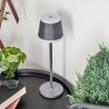 Lampe à poser Walt LED Anthracite, 1 lumière