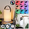 Lampe solaires Acebal LED Noir, Blanc, 1 lumière, Changeur de couleurs