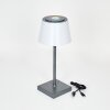 Lampe à poser Burzaco LED Anthracite, 1 lumière, Changeur de couleurs