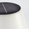 Lampe à poser Alcudia Solar LED Nickel mat, 10 lumières