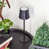 Lampe à poser Allen LED Noir, 1 lumière