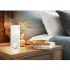 Lampe de table Globo GIXI LED Argenté, Transparent, 1 lumière