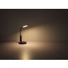 Lampe de table Globo FRUGGY LED Chrome, Noir, 1 lumière