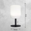 Lampe de table FHL easy Larino LED Anthracite, 1 lumière, Changeur de couleurs