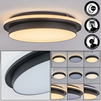 plafonnier extérieur Caucete LED Noir, 1 lumière