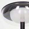 Lampe à poser Baigorrita LED Noir, 1 lumière