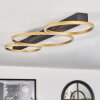 Plafonnier Cajean LED Noir, 3 lumières