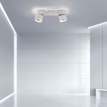 Plafonnier Paul Neuhaus PURE-NOLA LED Blanc, 2 lumières