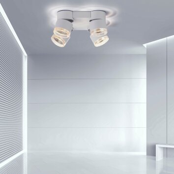 Plafonnier Paul Neuhaus PURE-NOLA LED Blanc, 4 lumières