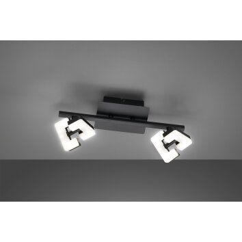 Plafonnier Fischer & Honsel Ray LED Noir, 2 lumières