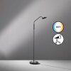 Lampadaire Fischer & Honsel Tallri LED Noir, 1 lumière