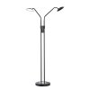 Lampadaire Fischer & Honsel Tallri LED Noir, 2 lumières