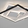 Plafonnier Paul Neuhaus MAILAK LED Noir, Blanc, 2 lumières