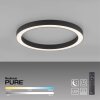 Plafonnier Paul Neuhaus PURE-LINES LED Anthracite, 1 lumière, Télécommandes