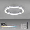 Plafonnier Paul Neuhaus PURE-LINES LED Argenté, 1 lumière, Télécommandes
