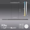 Suspension Paul Neuhaus PURE-MOTO-RISE LED Gris, 3 lumières, Télécommandes