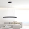 Suspension Paul Neuhaus TITUS LED Anthracite, 1 lumière