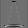 Suspension Paul Neuhaus TITUS LED Anthracite, 1 lumière