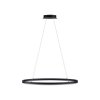 Suspension Paul Neuhaus TITUS LED Anthracite, 1 lumière