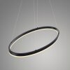 Suspension Paul Neuhaus TITUS LED Anthracite, 1 lumière