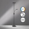 Lampadaire à vasque Fischer & Honsel Driva LED Noir, 1 lumière