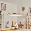 Suspension Calcium LED Laiton, 1 lumière