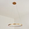 Suspension Calcium LED Laiton, 1 lumière