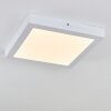 plafonnier extérieur Leto LED Blanc, 1 lumière