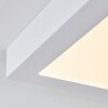 plafonnier extérieur Leto LED Blanc, 1 lumière