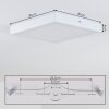 plafonnier extérieur Leto LED Blanc, 1 lumière