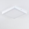 plafonnier extérieur Leto LED Blanc, 1 lumière