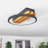 Plafonnier Rodekro LED Écru, Noir, 1 lumière