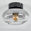 Plafonnier Haikala Clair, Fumé, 1 lumière