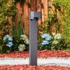 Borne lumineuse Guampacha Anthracite, 2 lumières